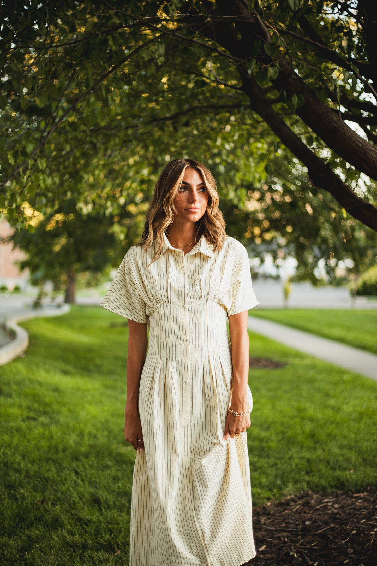 Brooke Pleated Shirt Dress