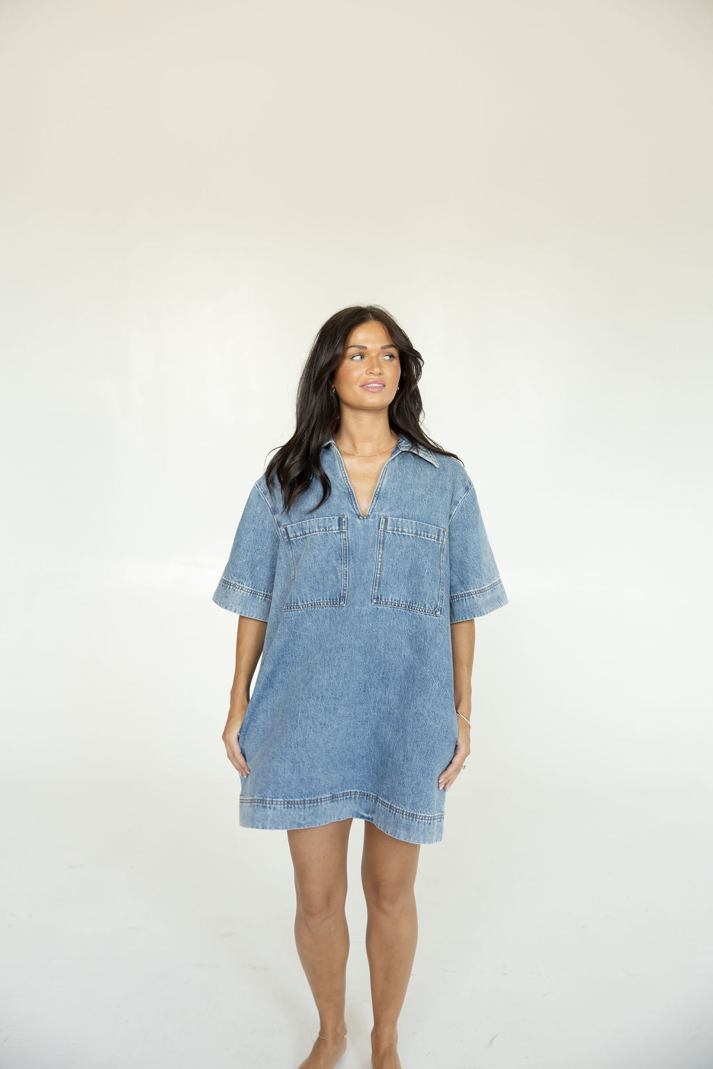 Backroads Denim Dress