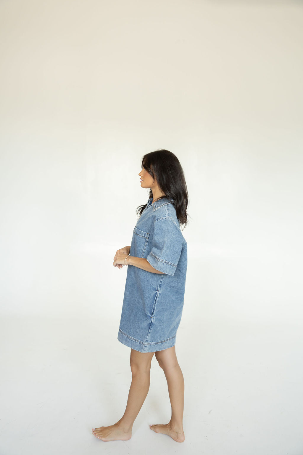 Backroads Denim Dress