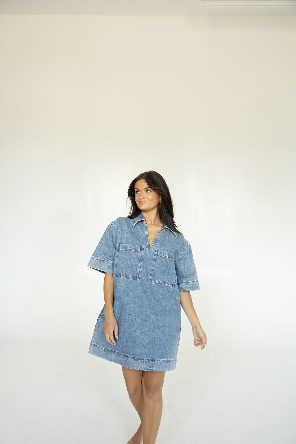 Backroads Denim Dress