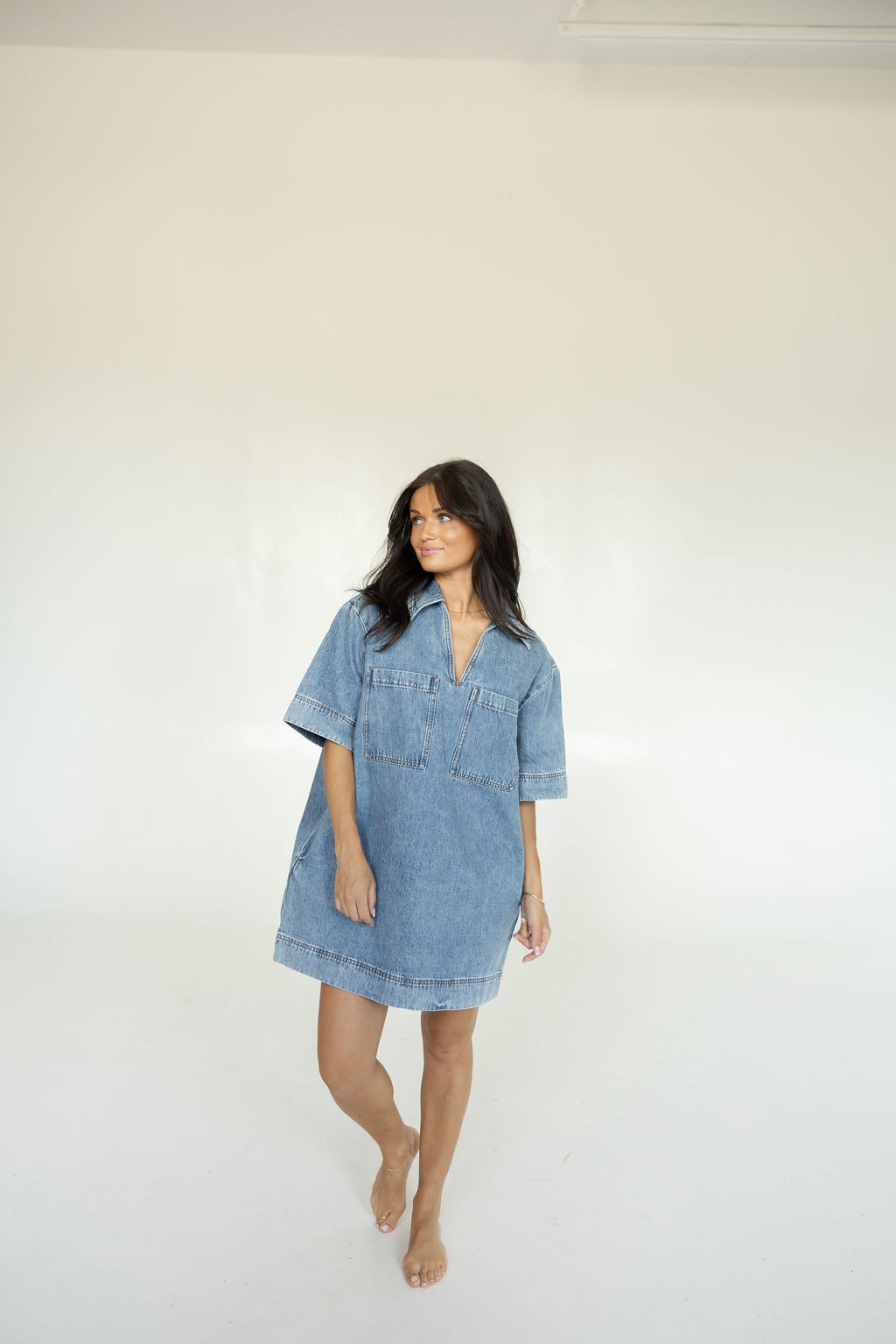Backroads Denim Dress