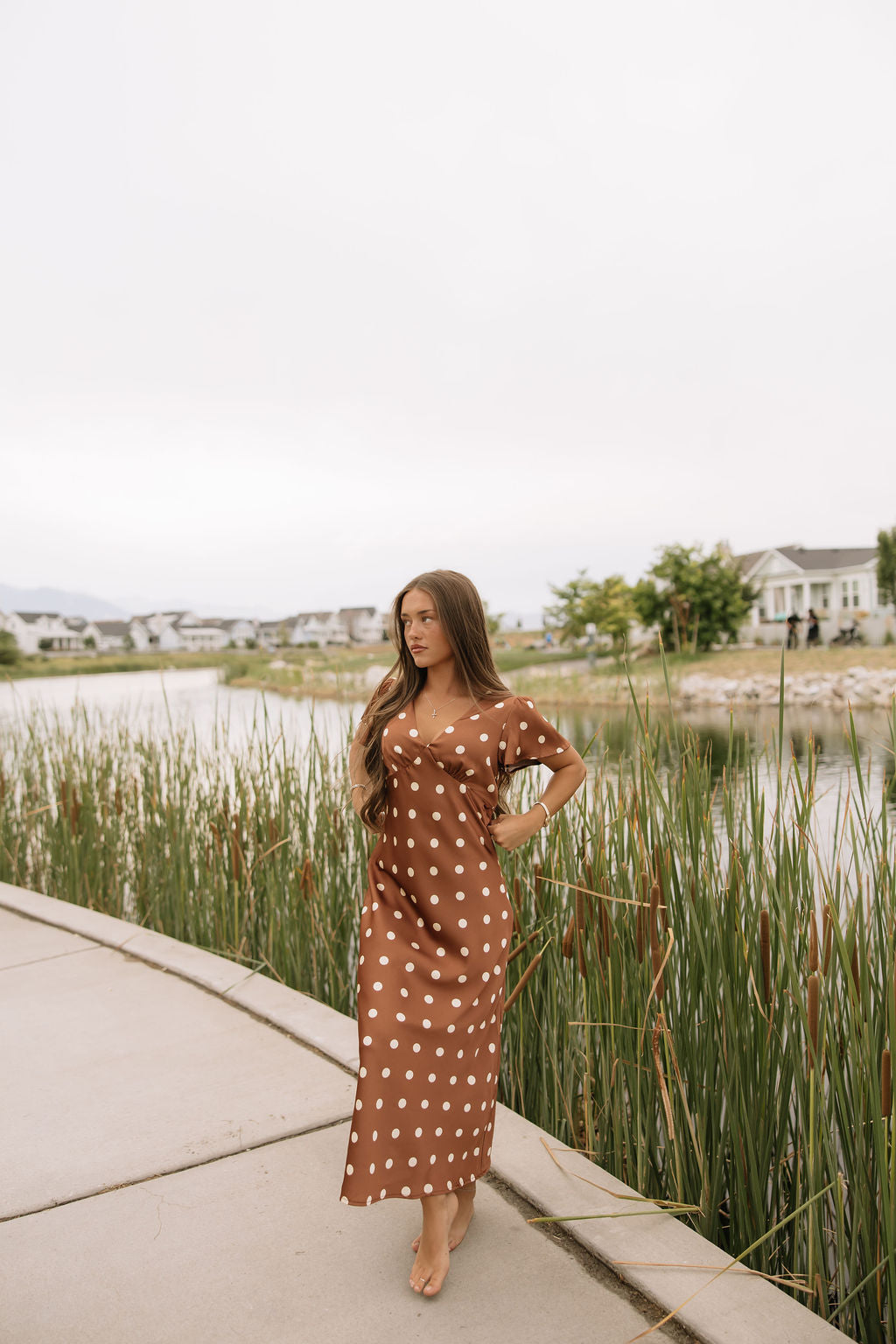 Chestnut Dot Dress