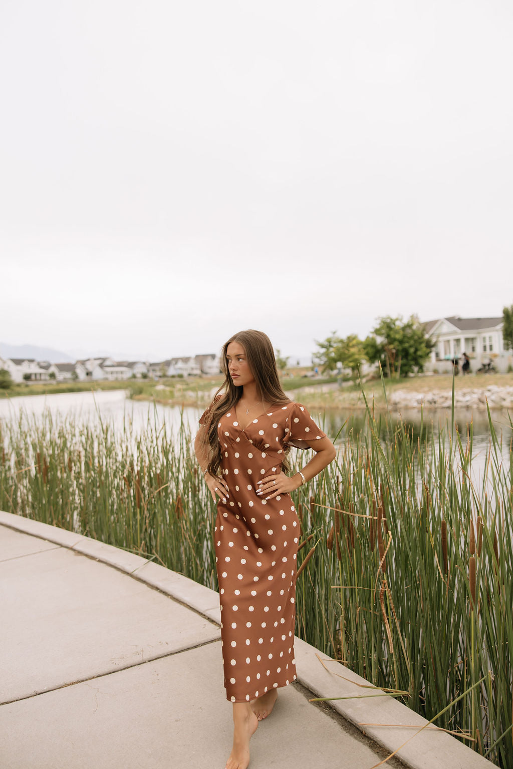 Chestnut Dot Dress