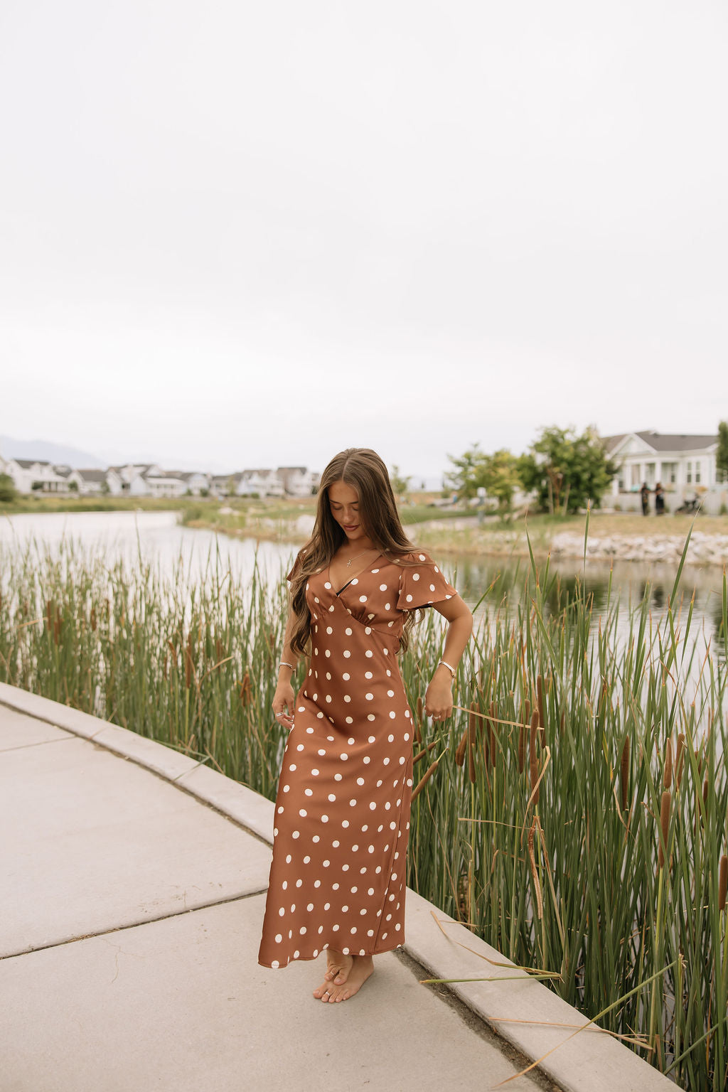 Chestnut Dot Dress