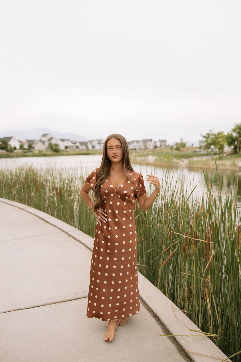 Chestnut Dot Dress