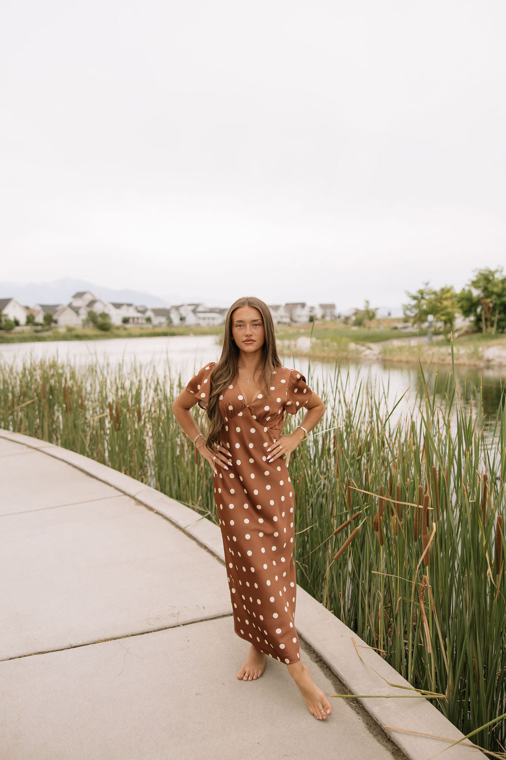 Chestnut Dot Dress