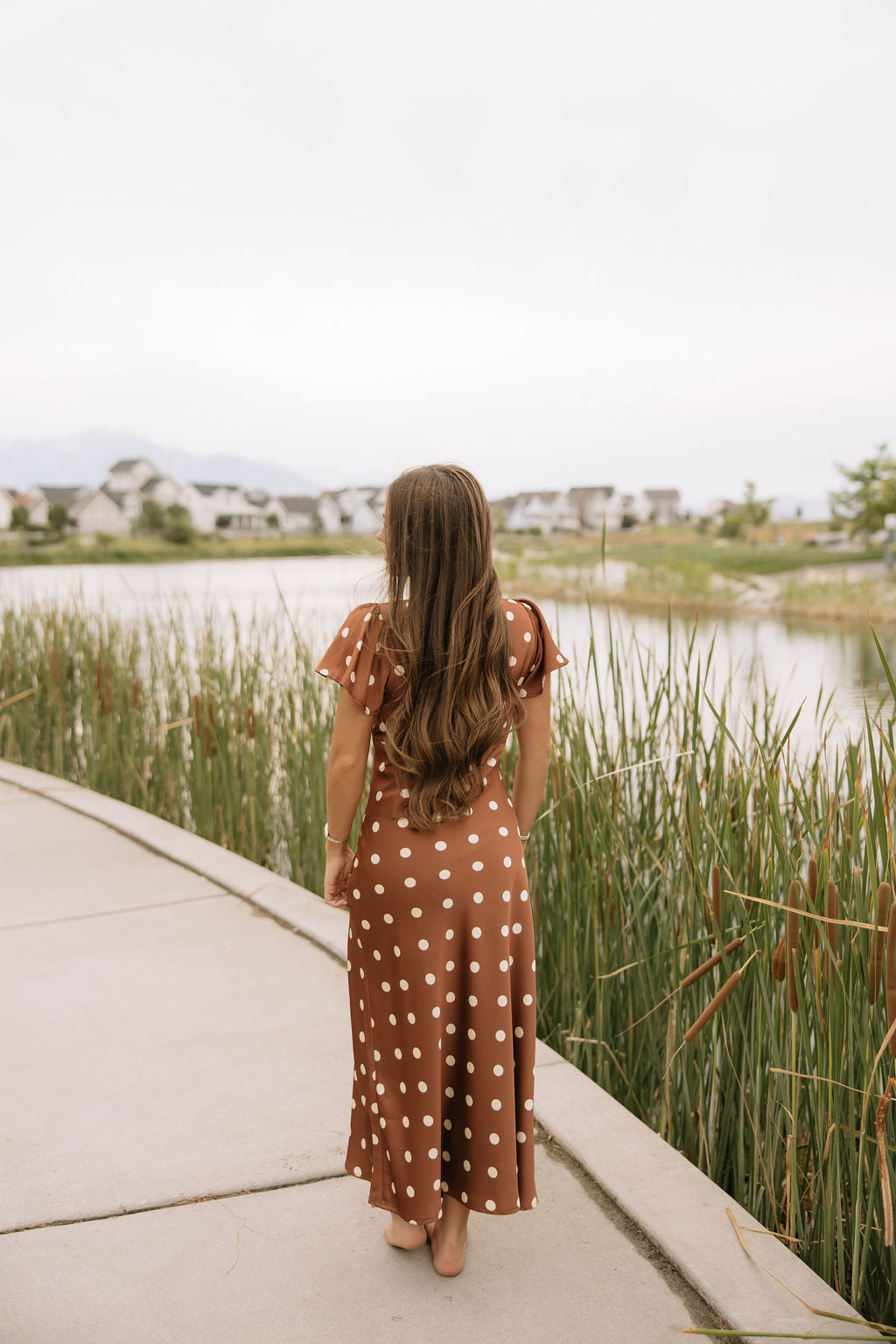 Chestnut Dot Dress