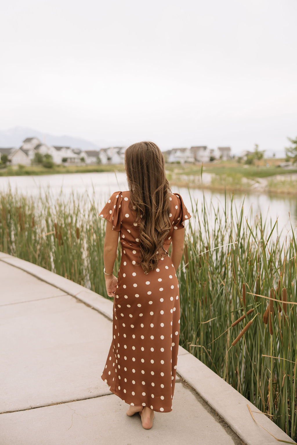 Chestnut Dot Dress