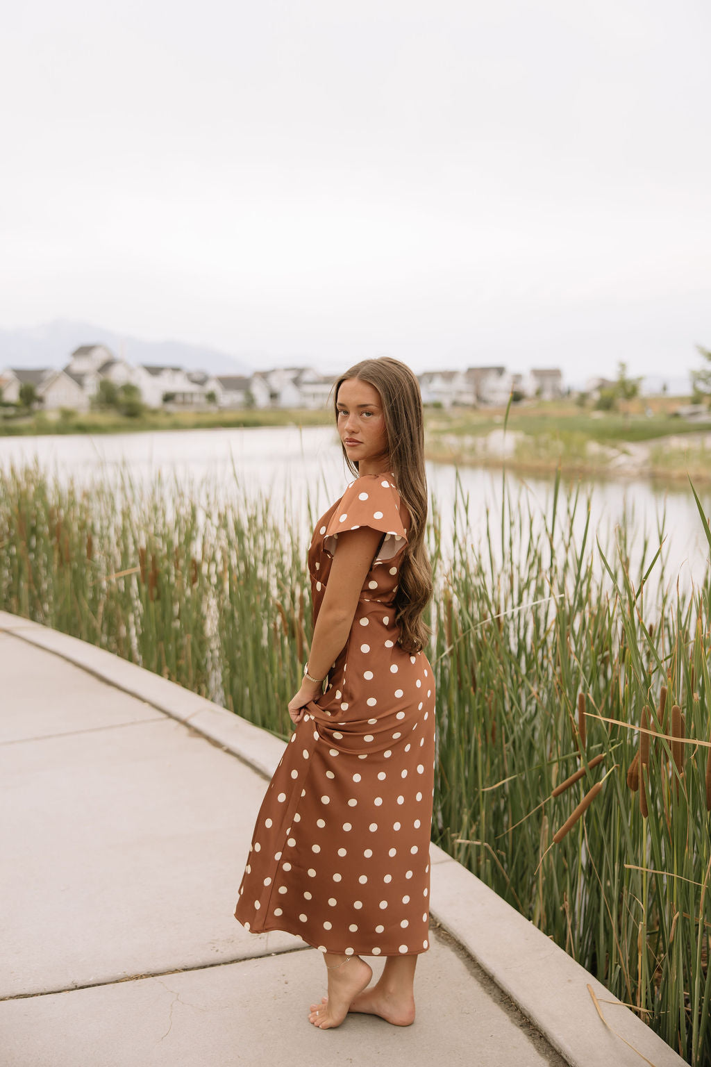 Chestnut Dot Dress