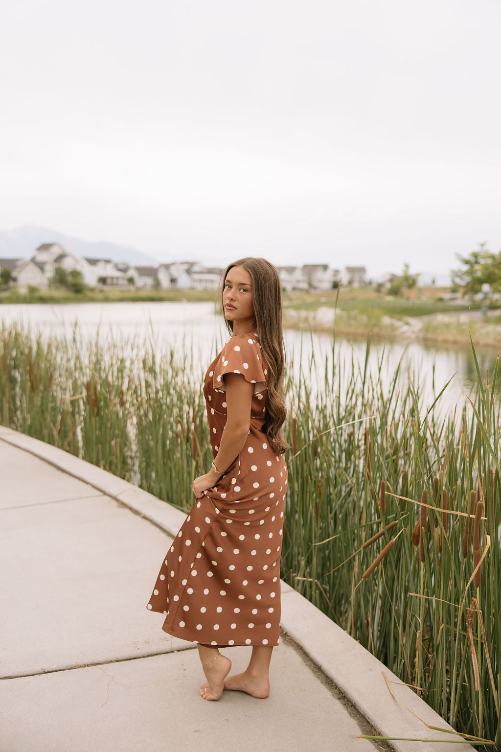 Chestnut Dot Dress