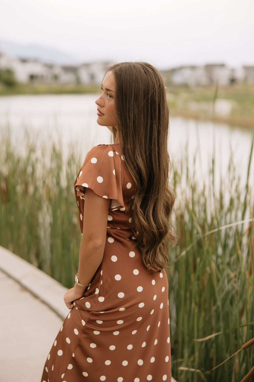 Chestnut Dot Dress