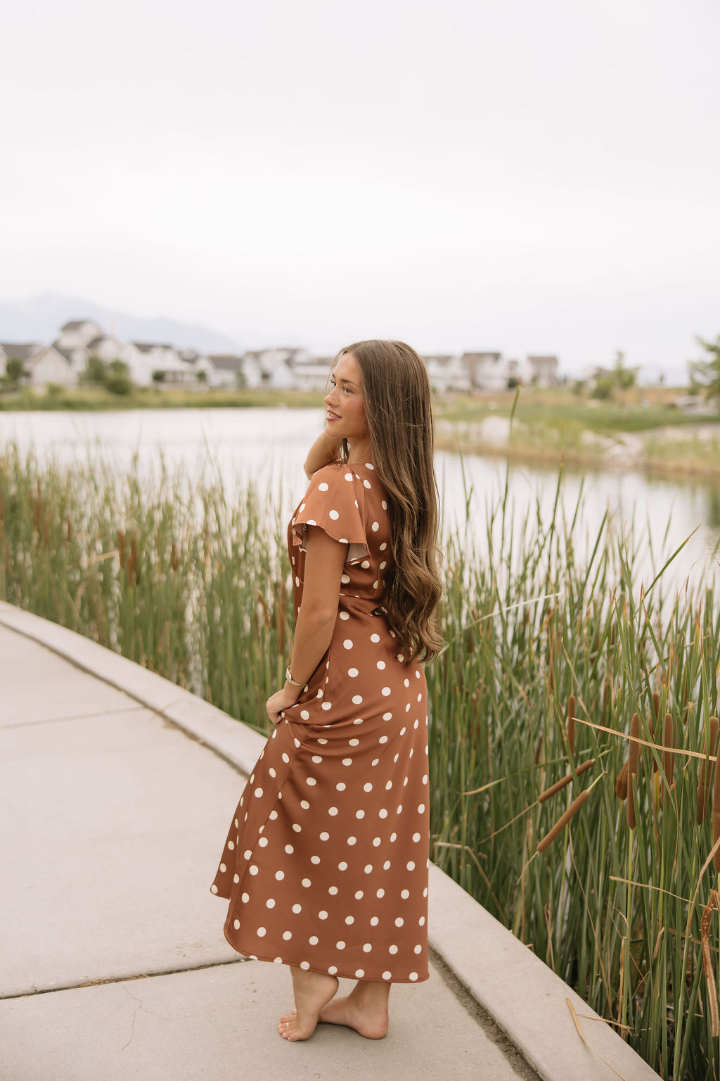 Chestnut Dot Dress