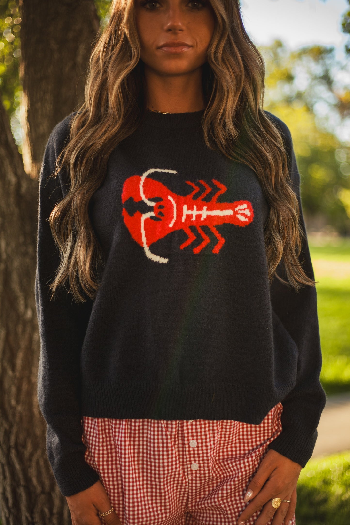 Lobster Sweater