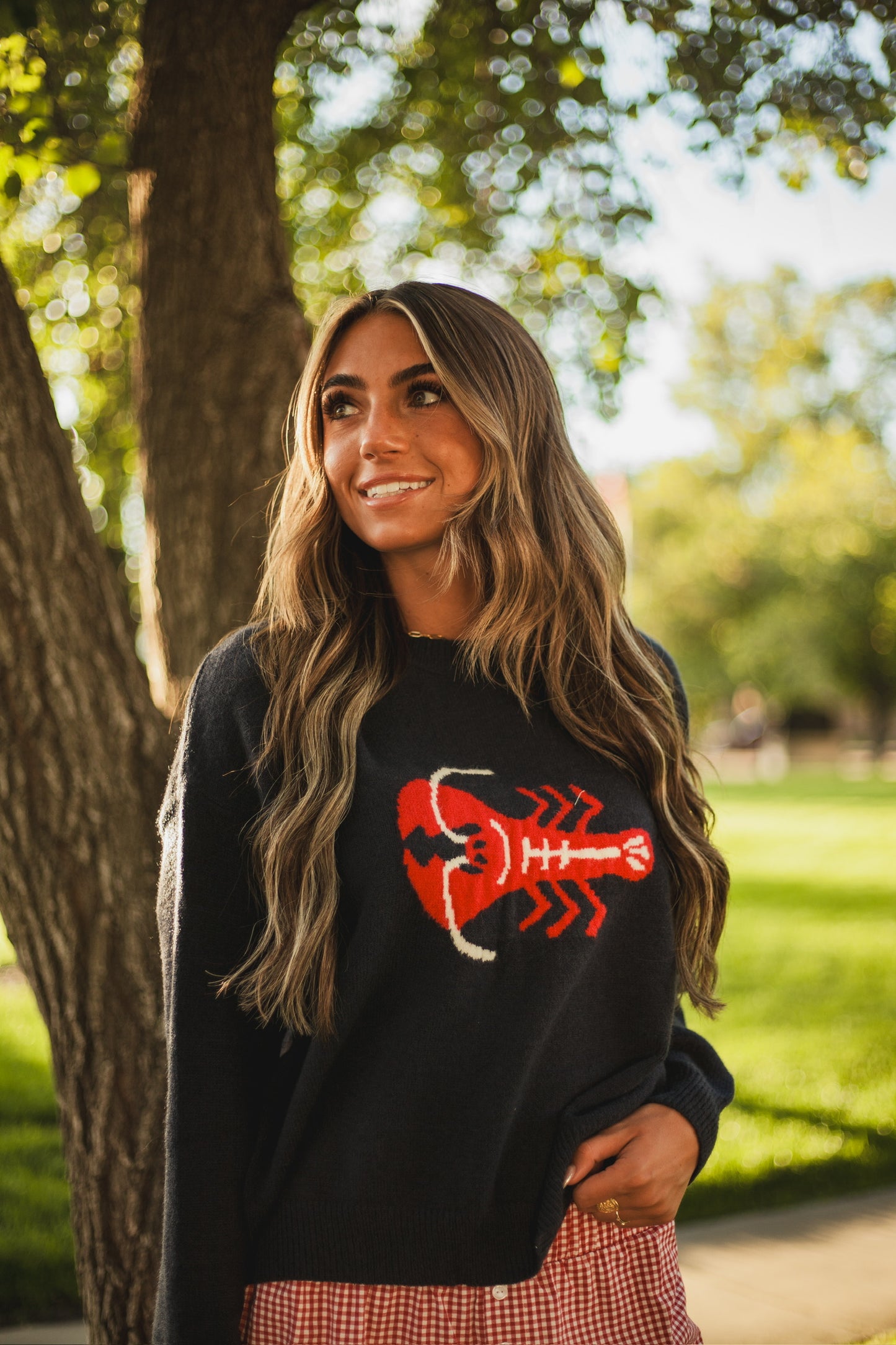 Lobster Sweater