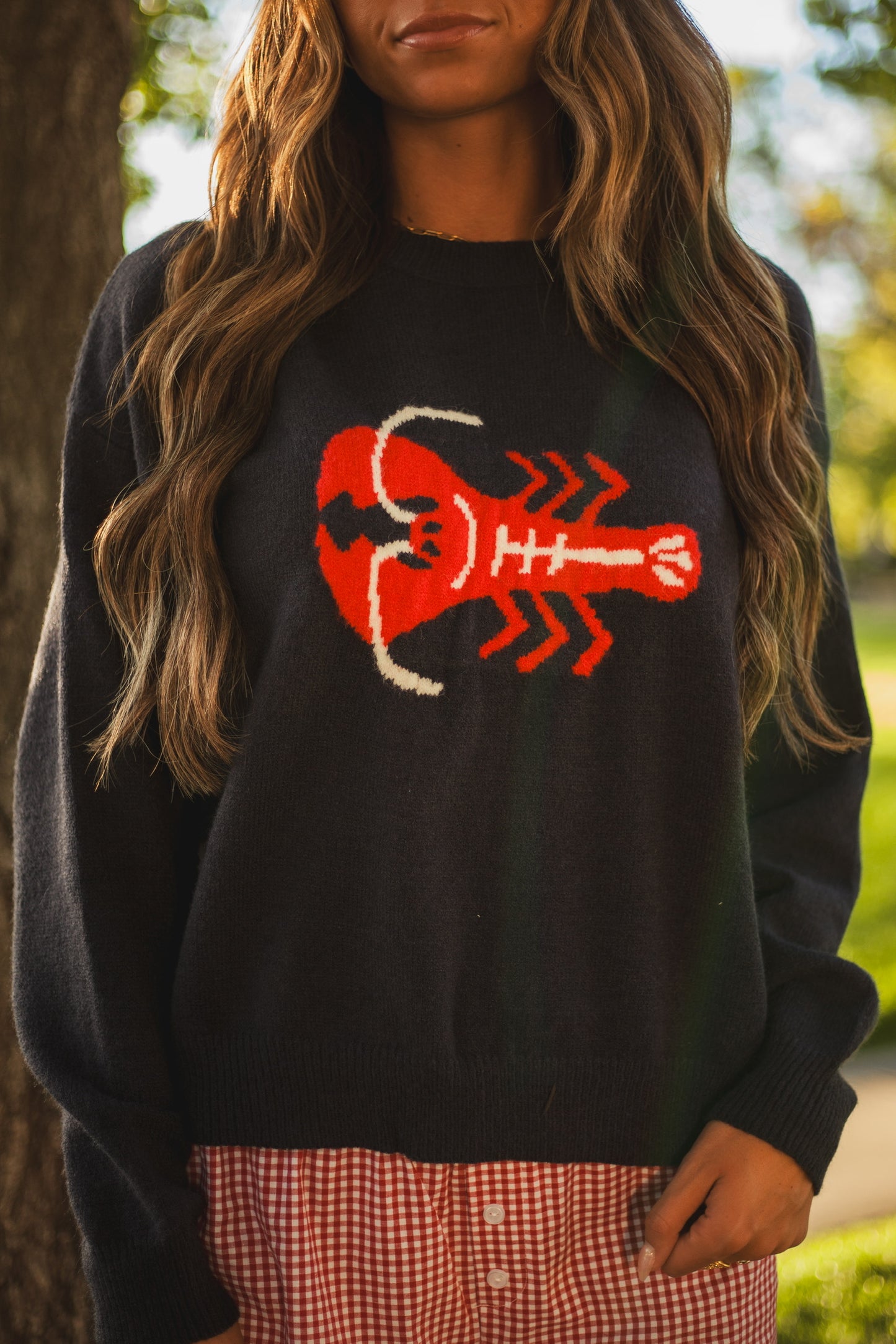 Lobster Sweater